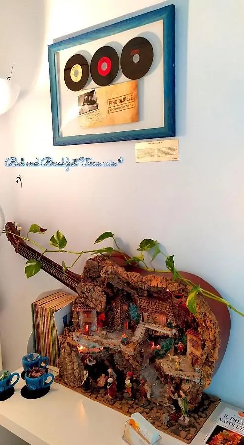 B&B Terra Mia Napoli Italy
